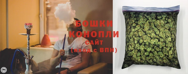 ГАЛЛЮЦИНОГЕННЫЕ ГРИБЫ Богданович