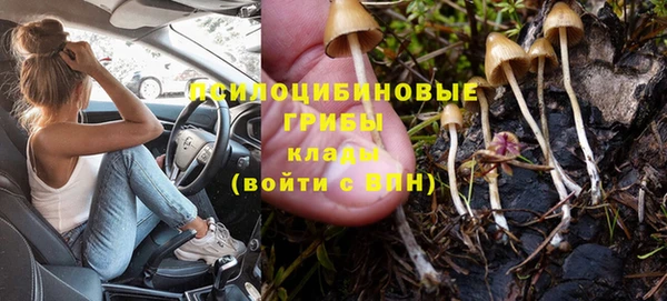 мдпв Тихвин