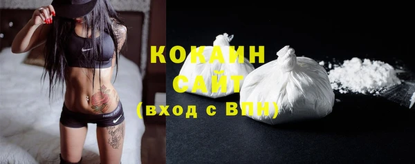ГАЛЛЮЦИНОГЕННЫЕ ГРИБЫ Богданович