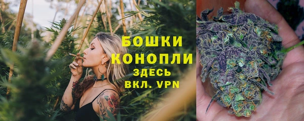 стаф Богородск