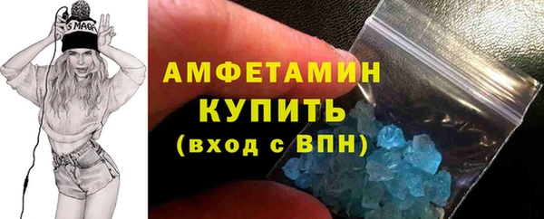 ГАЛЛЮЦИНОГЕННЫЕ ГРИБЫ Богданович